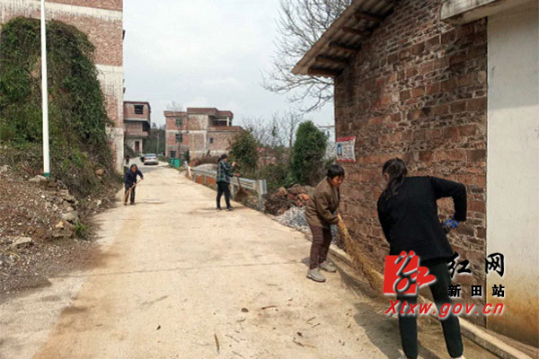 新田互聯網新聞(新田互聯網新聞電話)