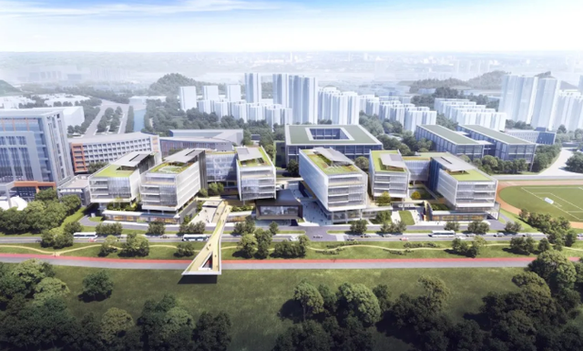 深圳高新區(qū)新聞網(wǎng)站建設(shè)(深圳市高新區(qū)開發(fā)建設(shè)公司)