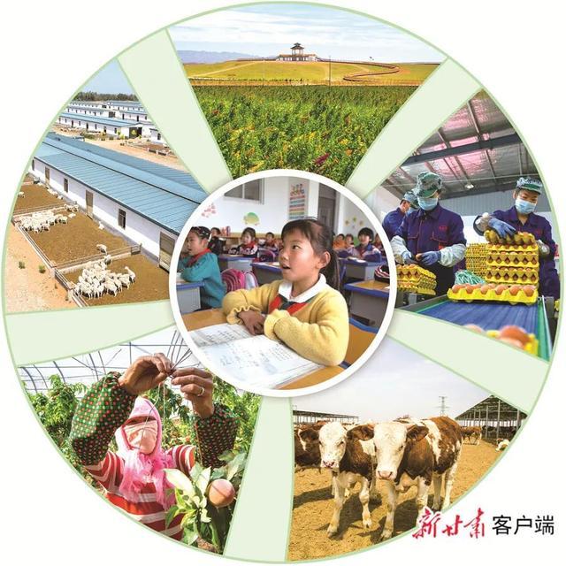 武威互聯網新聞(今日武威新聞直播)