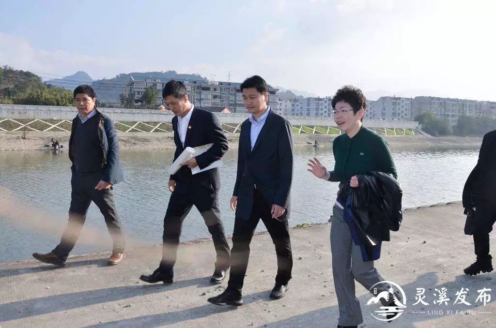 靈溪網站建設(岑溪網站建設公司)