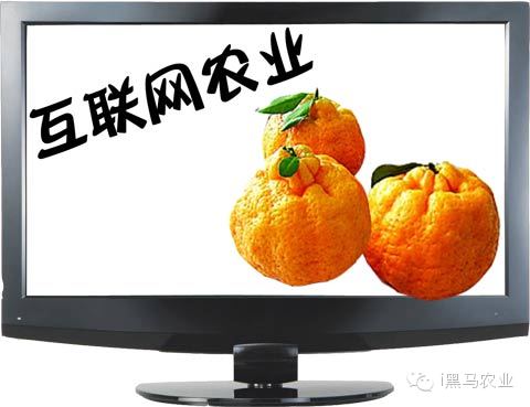 互聯網農資圈的新聞(最新的關于農業的新聞)