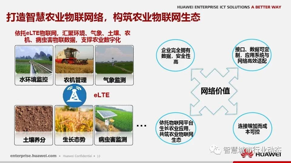 互聯(lián)網(wǎng)和農業(yè)新聞(互聯(lián)網(wǎng)和農業(yè)新聞哪個好)