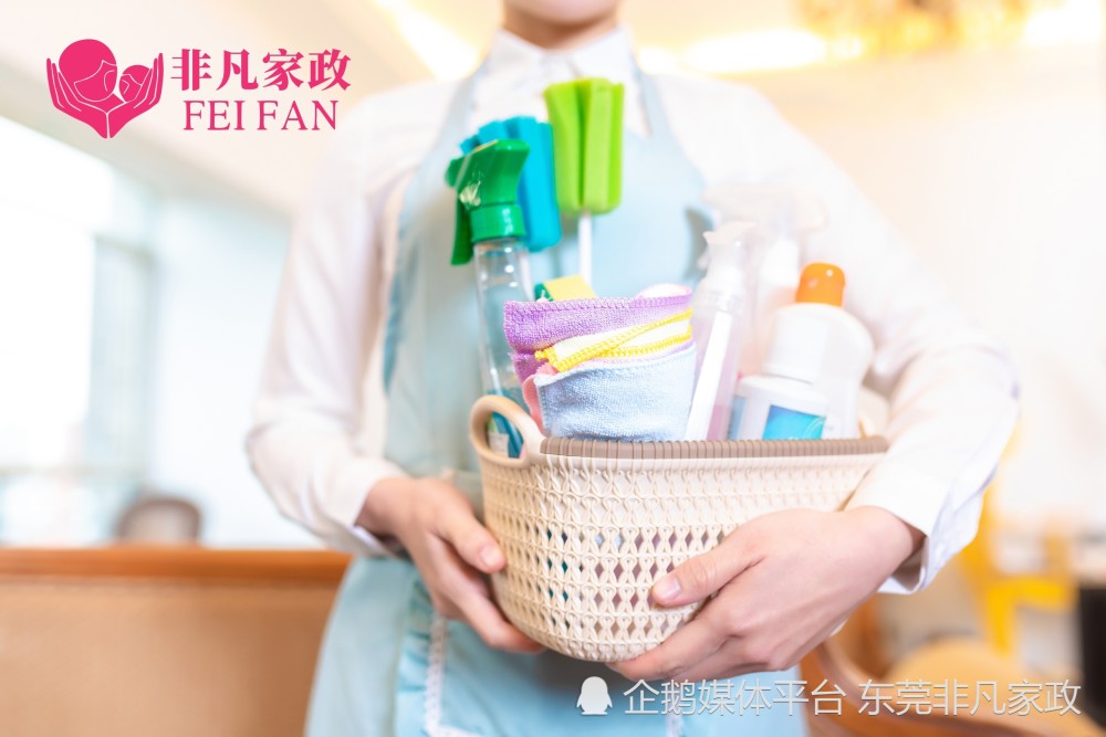 互聯(lián)網(wǎng)家政服務新聞稿件(互聯(lián)網(wǎng)家政服務新聞稿件模板)