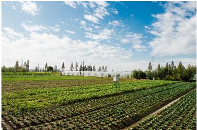 互聯網農場新聞(互聯網現代化農場案例)