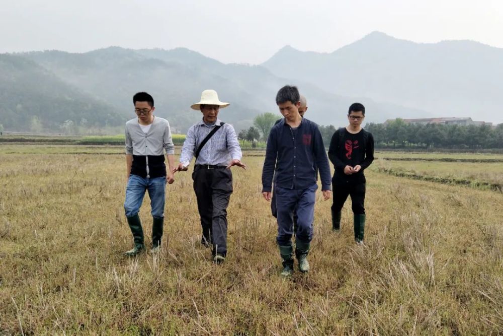 互聯(lián)網(wǎng)種田新聞(種田CEO)