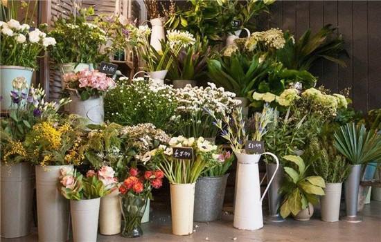 線上花卉小程序開發(線上花卉小程序開發流程)