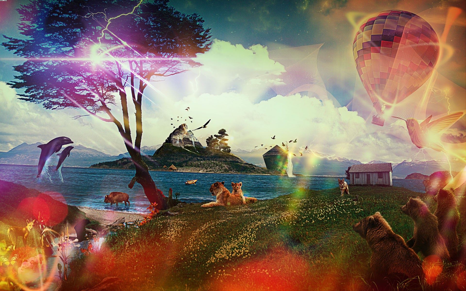 動(dòng)物世界互聯(lián)網(wǎng)新聞?lì)l道(動(dòng)物世界這個(gè)平臺(tái)上新聞聯(lián)播)