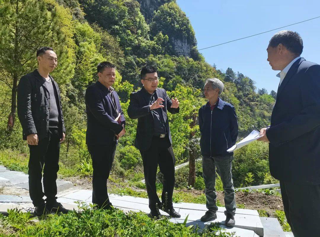 巫溪網(wǎng)站建設(shè)效果(巫溪縣人民政府公眾信息網(wǎng)招標投標信息)