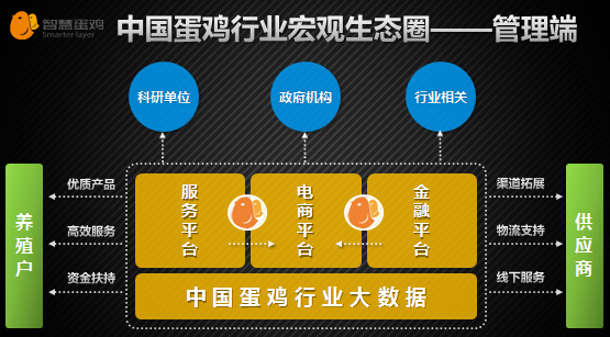 互聯(lián)網(wǎng)養(yǎng)雞新聞(網(wǎng)絡養(yǎng)雞投資是騙局嗎)