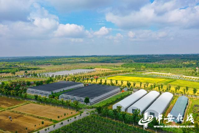 互聯網農業示范區新聞(互聯網農業科技有限公司)