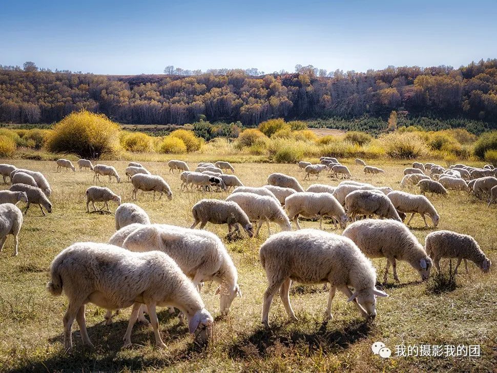中國互聯網新聞中心趙萱(中國互聯網新聞中心趙萱主任)
