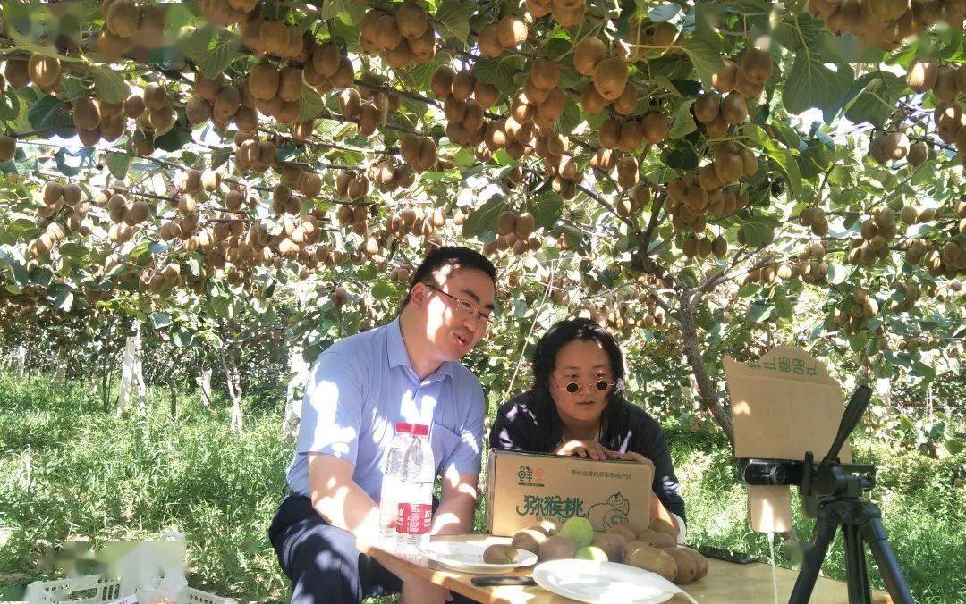 眉縣互聯(lián)網(wǎng)新聞網(wǎng)站首頁(眉縣互聯(lián)網(wǎng)新聞網(wǎng)站首頁查詢)