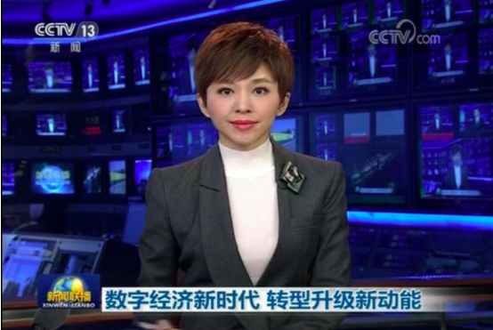 包含互聯(lián)網(wǎng)大會(huì)中央新聞聯(lián)播的詞條