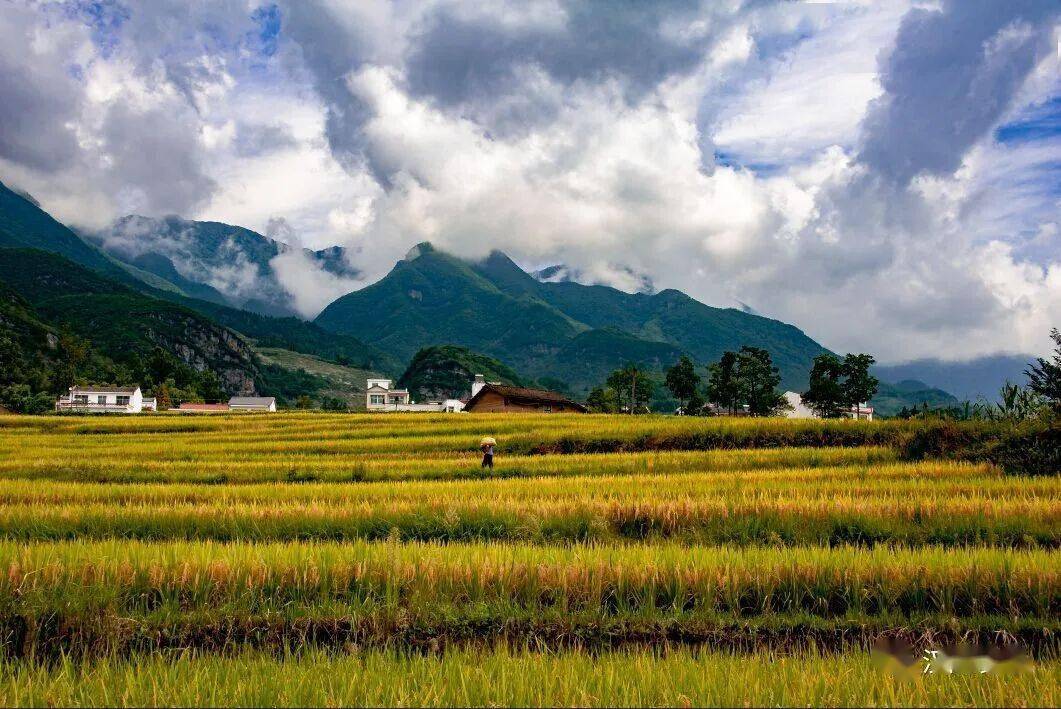 漢陰互聯網新聞(漢陰2020最近新聞)