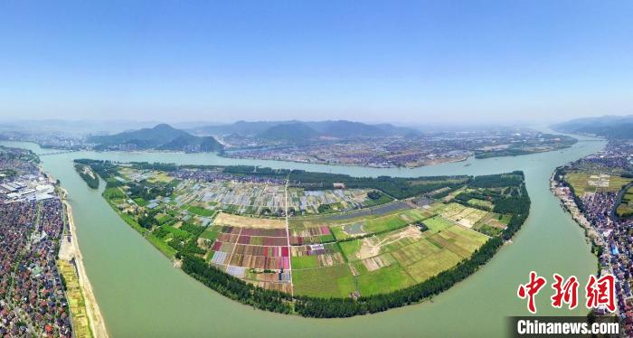 中國互聯(lián)網(wǎng)新聞中心左鋼(中國互聯(lián)網(wǎng)新聞中心中國網(wǎng))