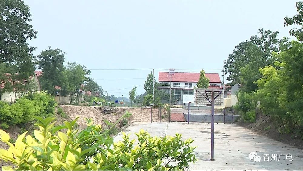 青州農(nóng)村建設新聞網(wǎng)站(青州農(nóng)村建設新聞網(wǎng)站首頁)