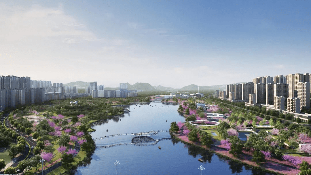 花溪網站建設(花溪網站建設招標公告)