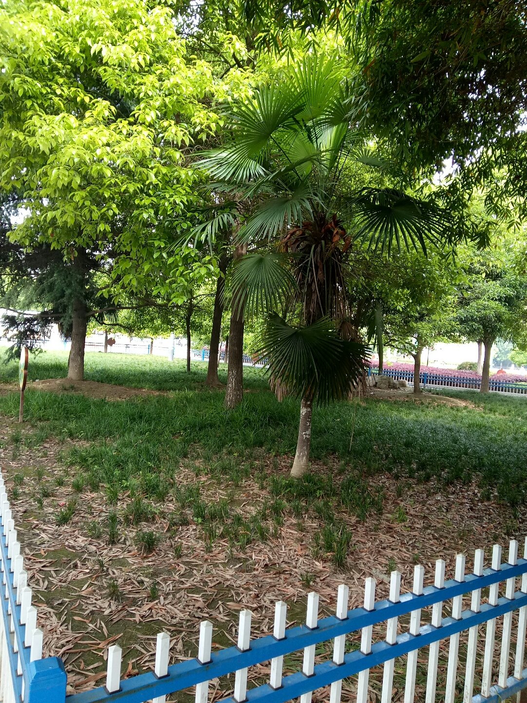 潛江網站建設手機(潛江手機資訊網招聘)