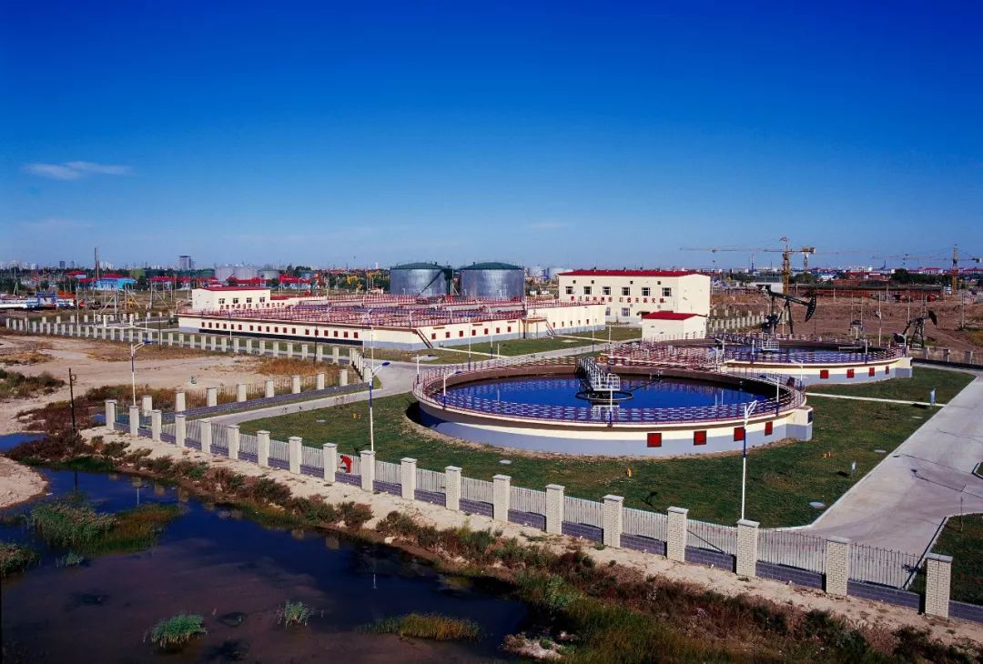 大慶網站建設的簡單介紹