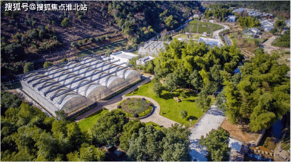 綠野網站建設(綠野戶外網官網)