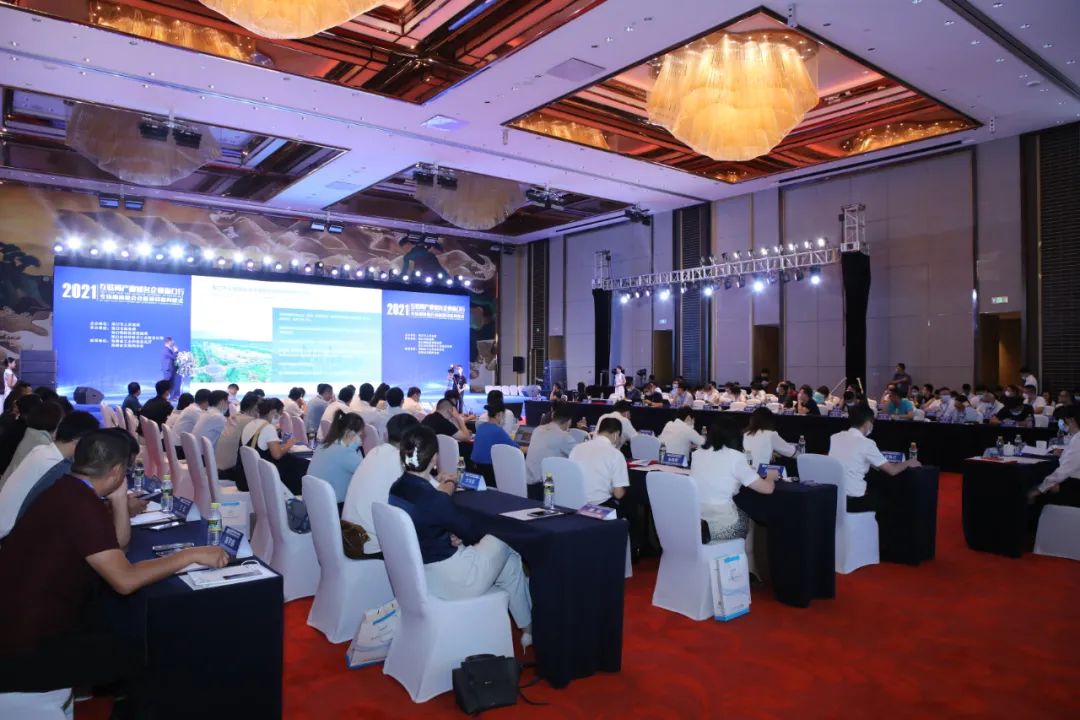 互聯網海口新聞(海口互聯網信息產業園)