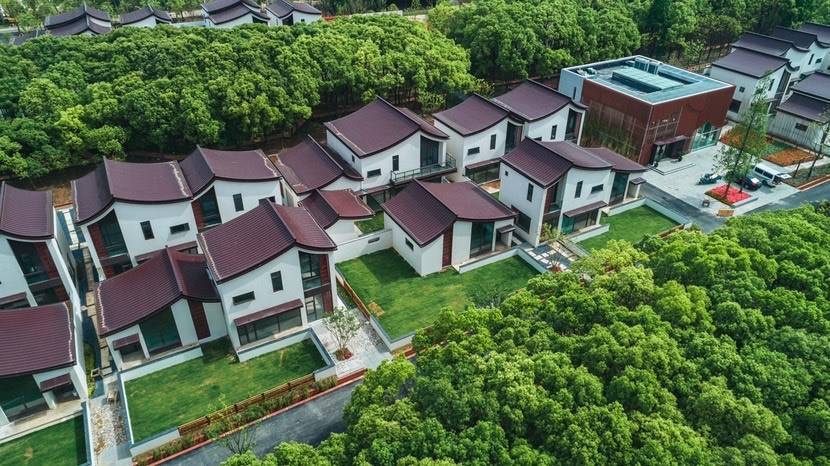 臻信互聯網最新消息(臻信資產管理有限公司)