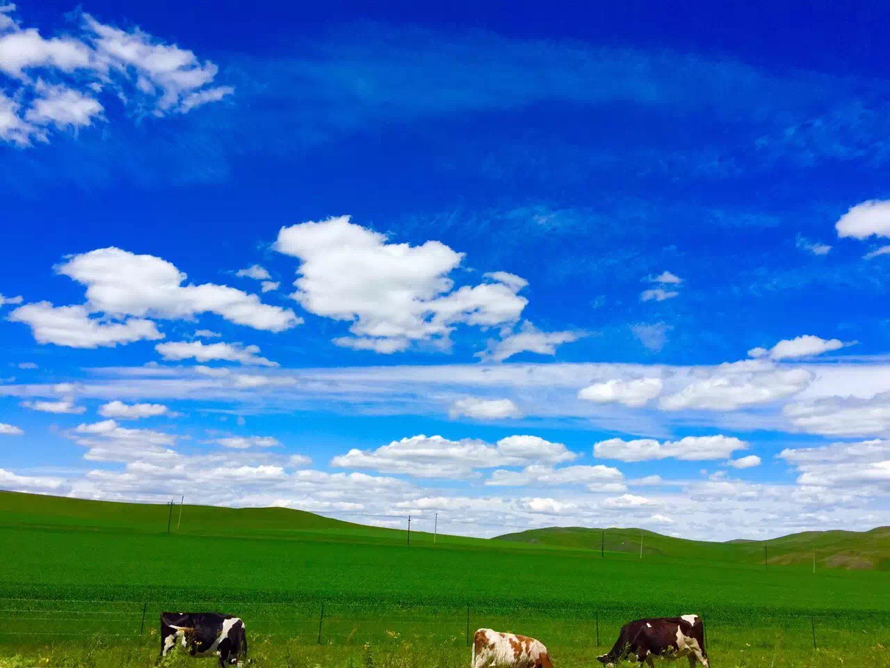 呼倫貝爾網(wǎng)站建設(shè)的簡(jiǎn)單介紹