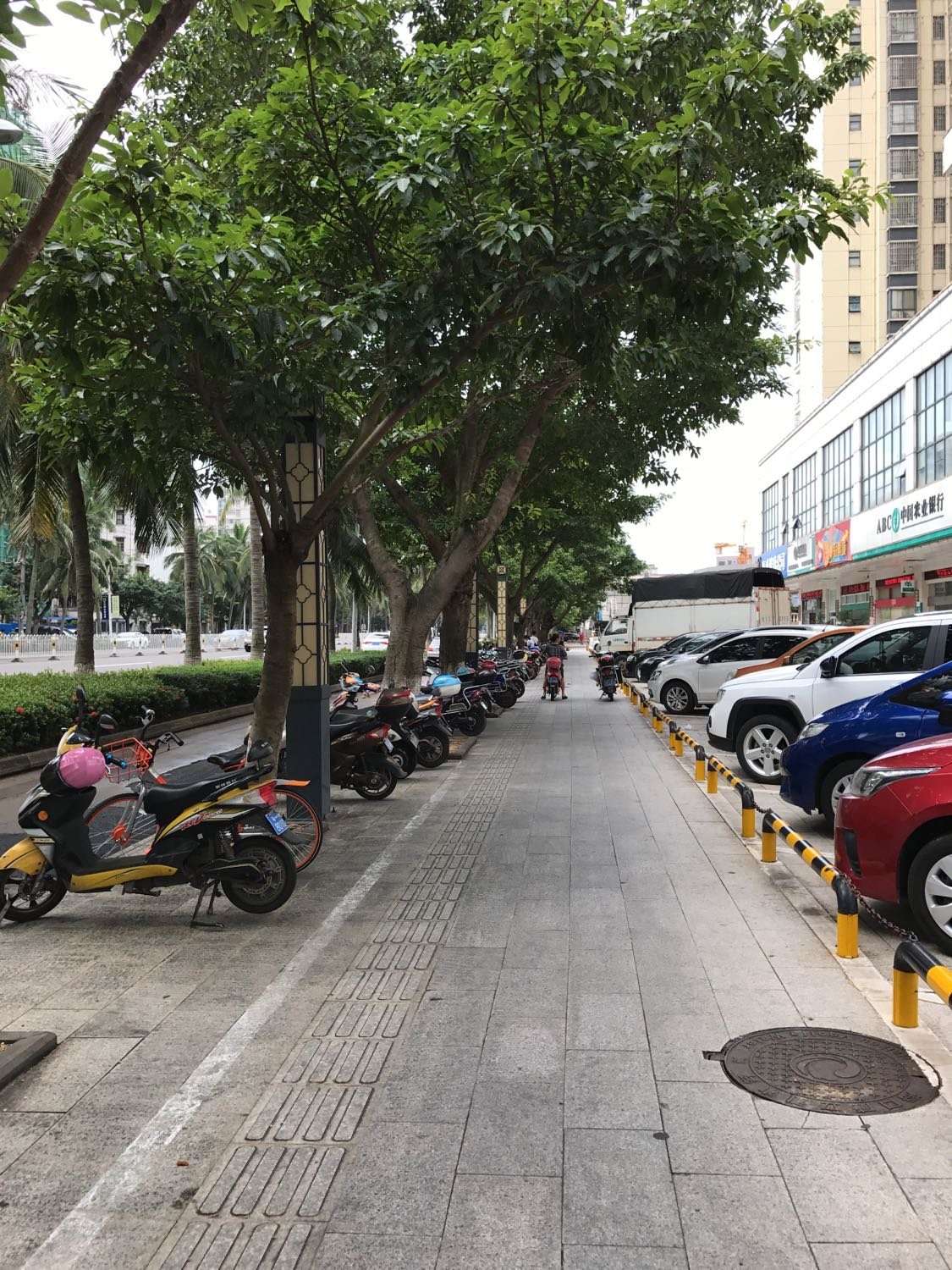 海口網(wǎng)站建設(shè)路(海口網(wǎng)站建設(shè)解決方案)