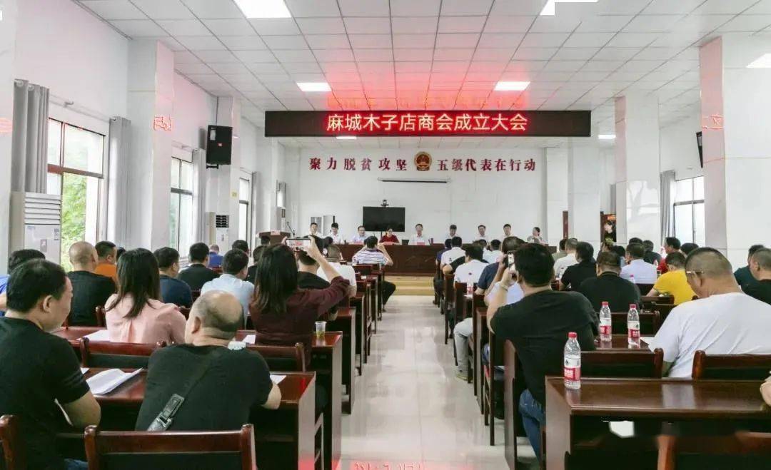 麻城新聞網網站建設招標(麻城新聞網網站建設招標信息)