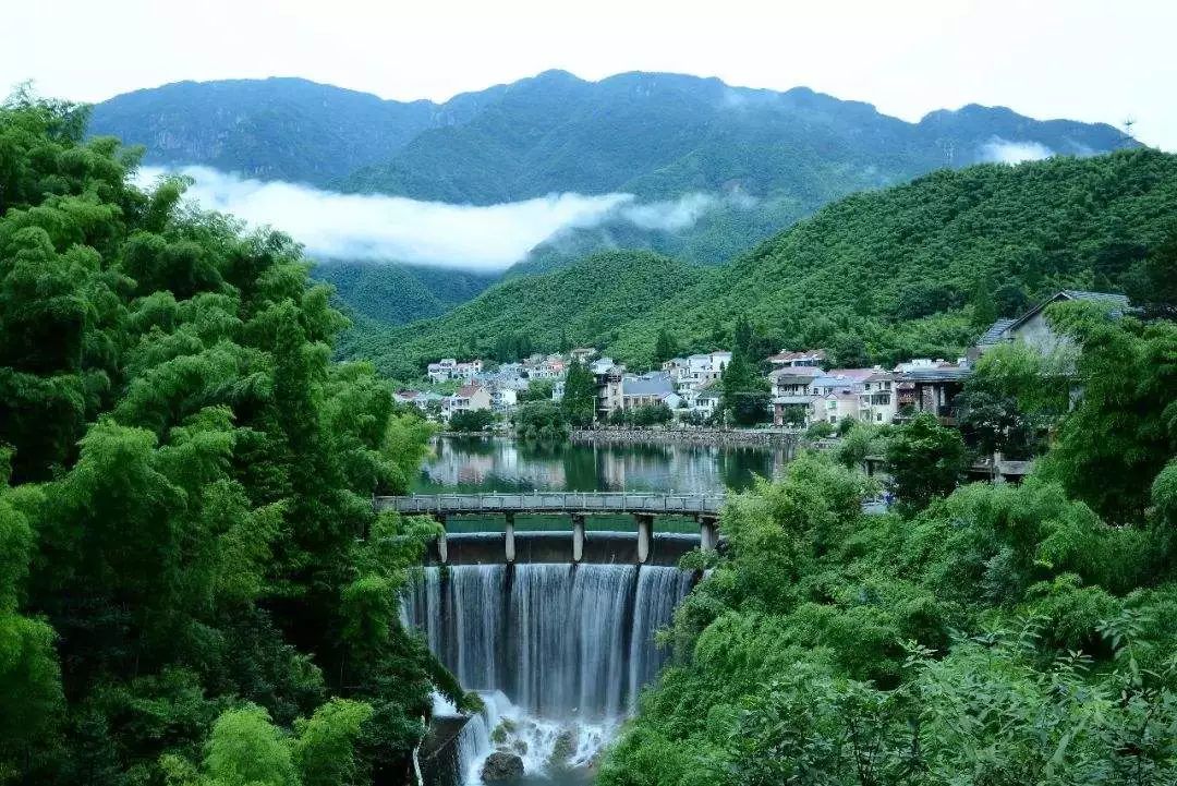 安吉網站建設(安吉網絡科技有限公司)