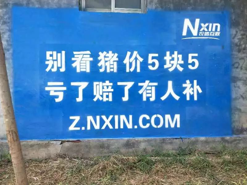 互聯(lián)網(wǎng)上養(yǎng)豬騙局揭秘新聞(互聯(lián)網(wǎng)上養(yǎng)豬騙局揭秘新聞是真的嗎)