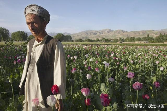 新聞學(xué)互聯(lián)網(wǎng)三大公害(互聯(lián)網(wǎng)國(guó)內(nèi)傳統(tǒng)的三大新聞門戶網(wǎng)站)