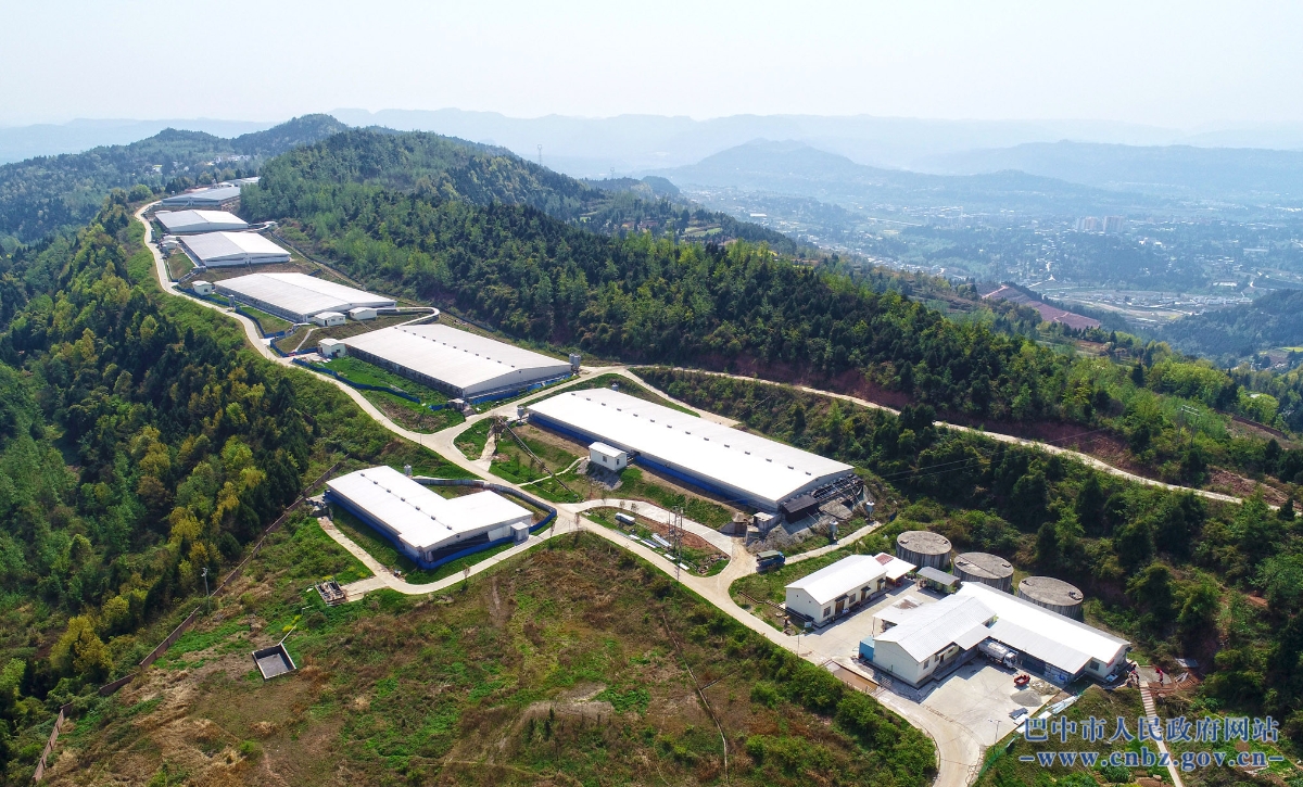 巴中企業網站建設(巴中制作網站的公司)