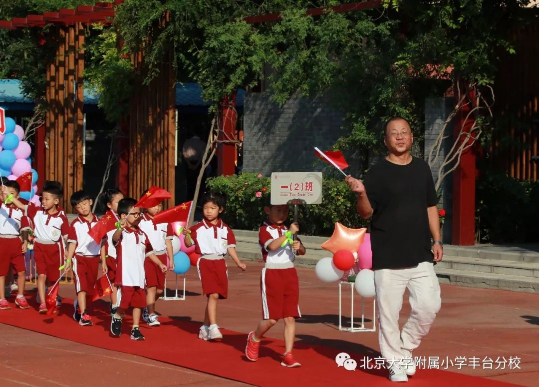 北大附小網站建設(北大附小網站建設項目)