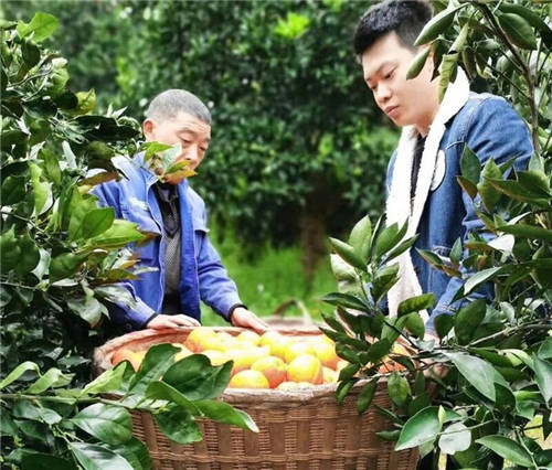 互聯網社會扶貧新聞稿(互聯網+扶貧宣傳稿范文)