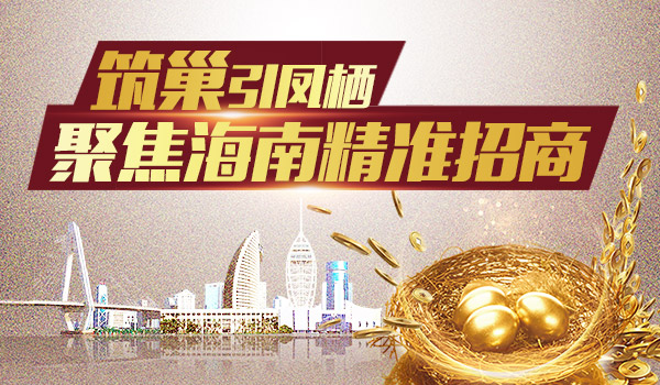 海南運營網站建設前景(海南運營網站建設前景如何)