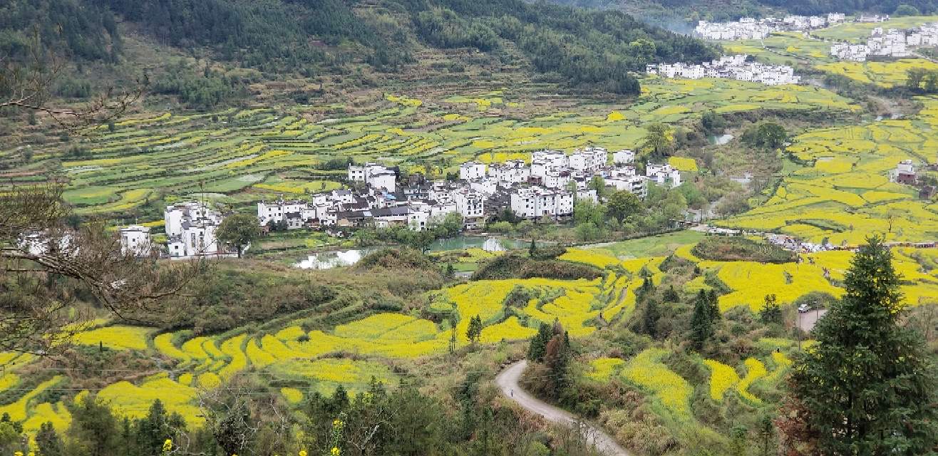 婺源網(wǎng)站建設(shè)(婺源建設(shè)項(xiàng)目新聞)